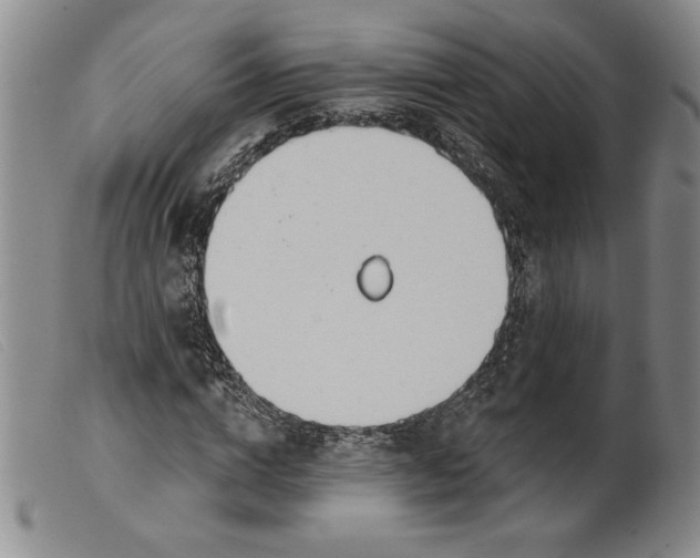 X0000099440824200805231715