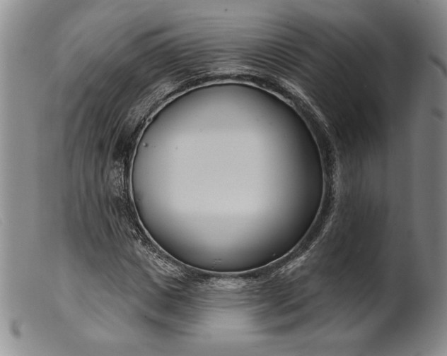 X0000099440825200805231715