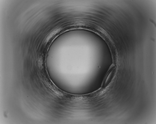 X0000099440826200805231715
