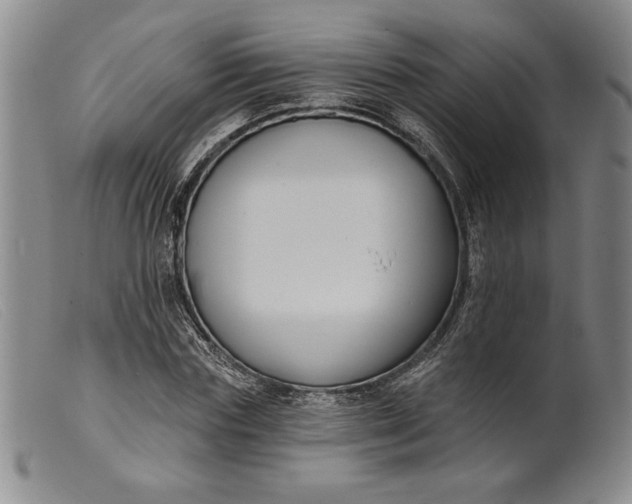 X0000099440827200805231715
