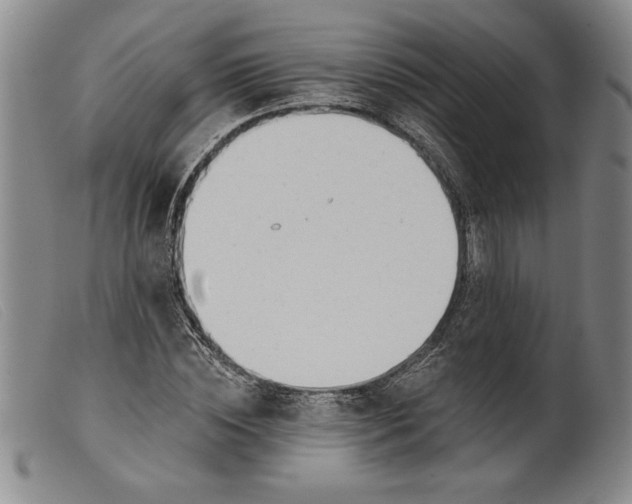 X0000099440828200805231715