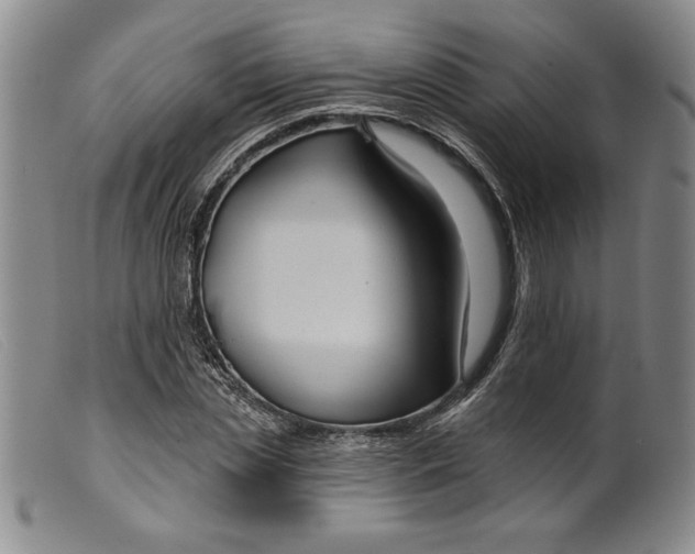 X0000099440829200805231715