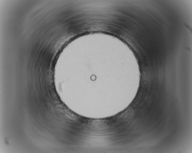 X0000099440832200805231715