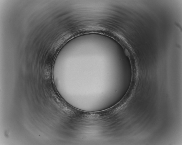 X0000099440833200805231715