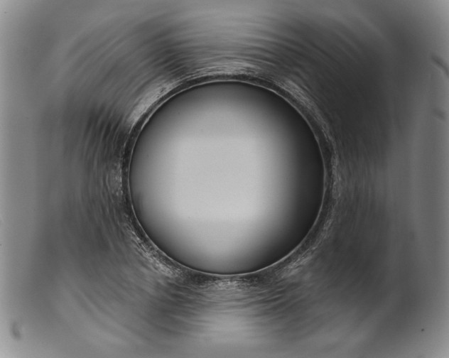 X0000099440834200805231715