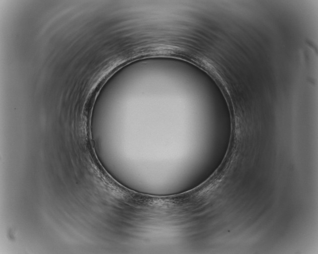 X0000099440835200805231715