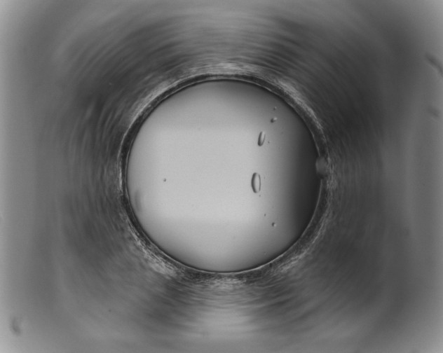X0000099440837200805231715