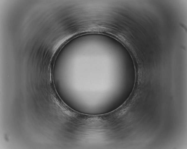 X0000099440838200805231715