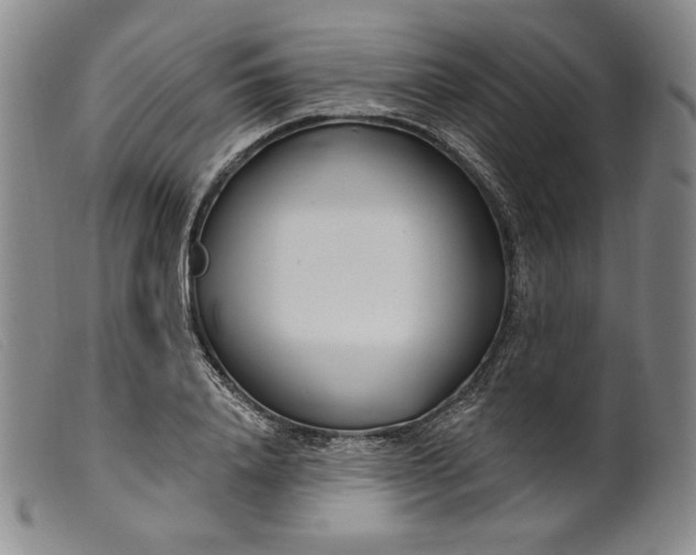 X0000099440840200805231715