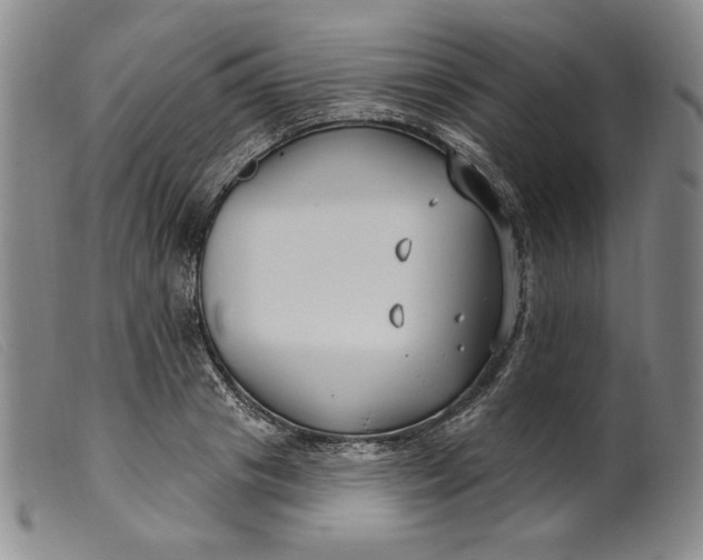 X0000099440841200805231715
