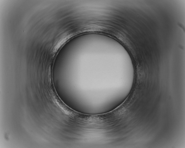 X0000099440842200805231715