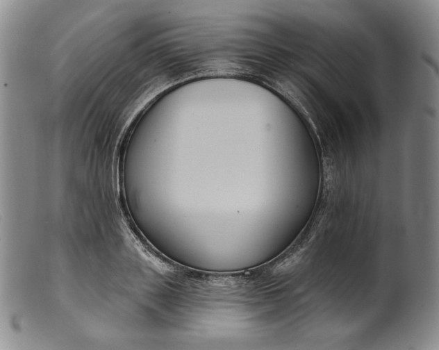 X0000099440843200805231715