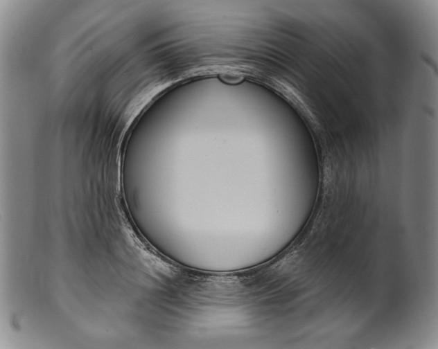 X0000099440844200805231715