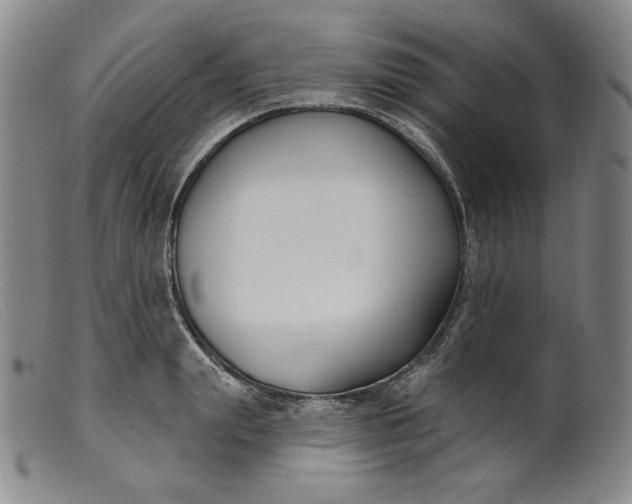 X0000099440847200805231715