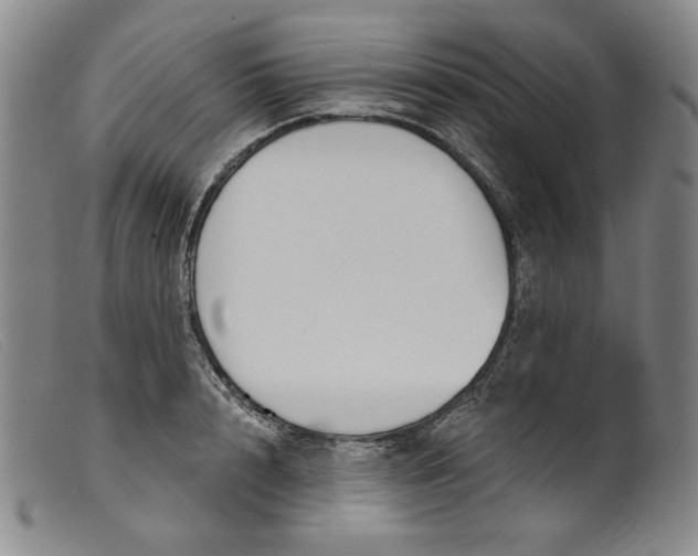 X0000099440848200805231715