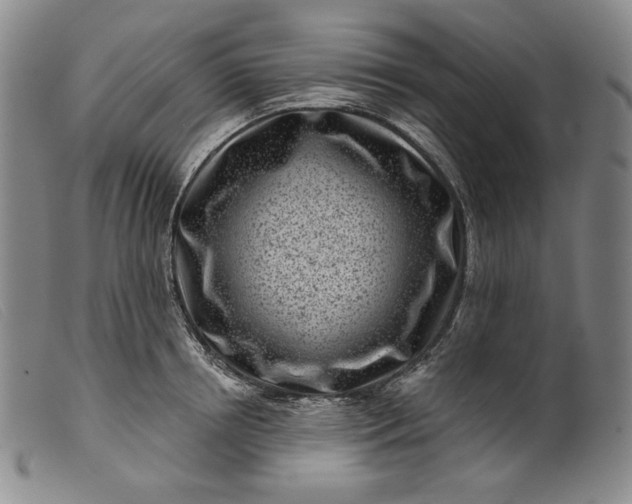 X0000099440850200805231715