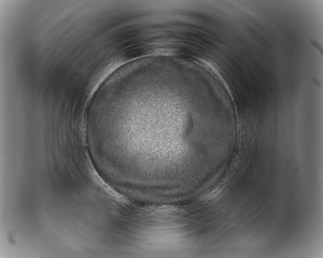 X0000099440851200805231715
