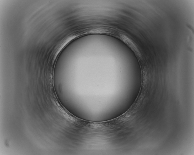 X0000099440852200805231715