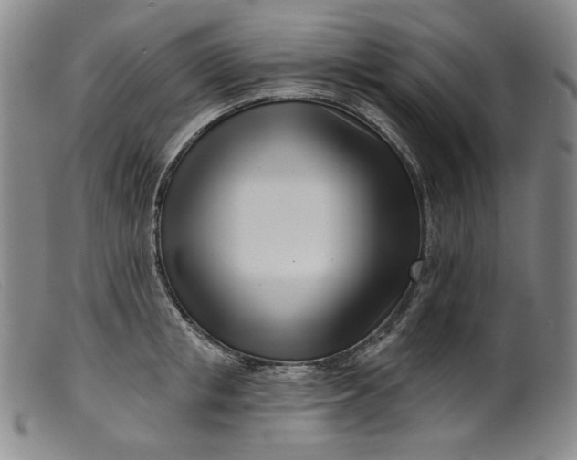 X0000099440853200805231716
