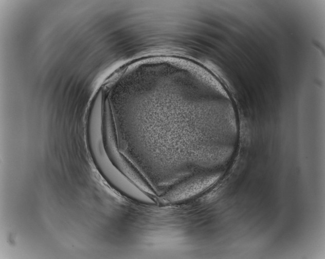 X0000099440854200805231716
