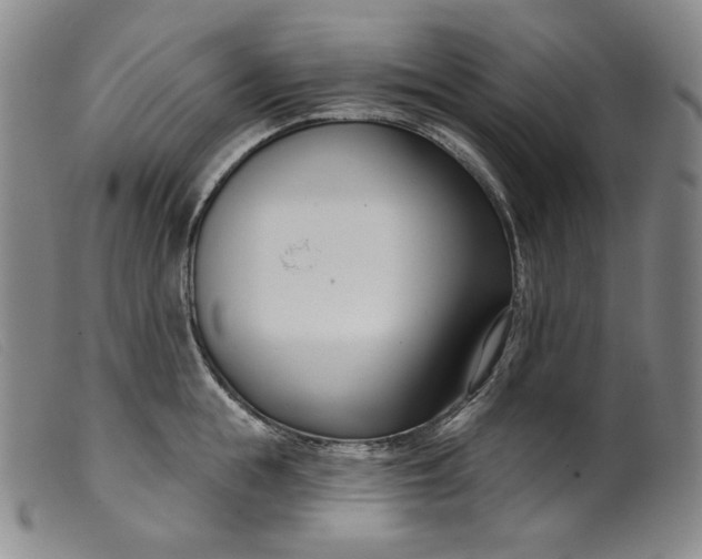 X0000099440855200805231716