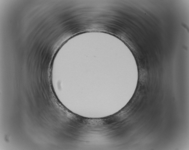 X0000099440856200805231716
