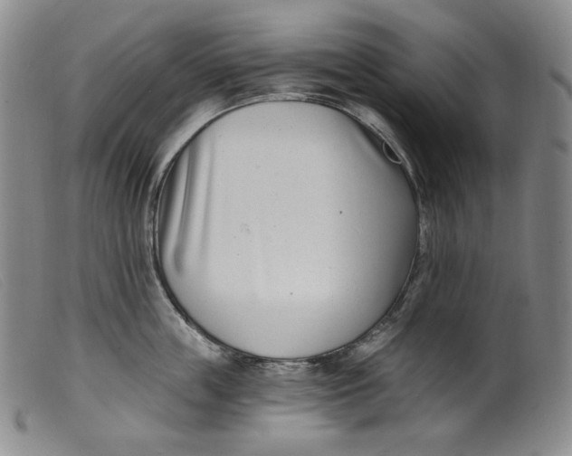 X0000099440859200805231716
