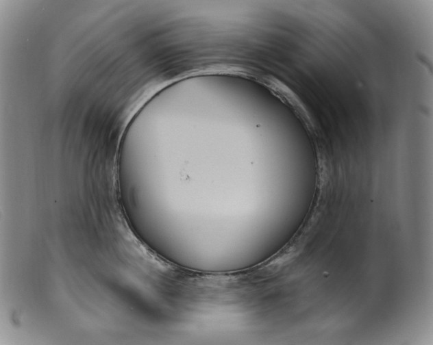 X0000099440860200805231716