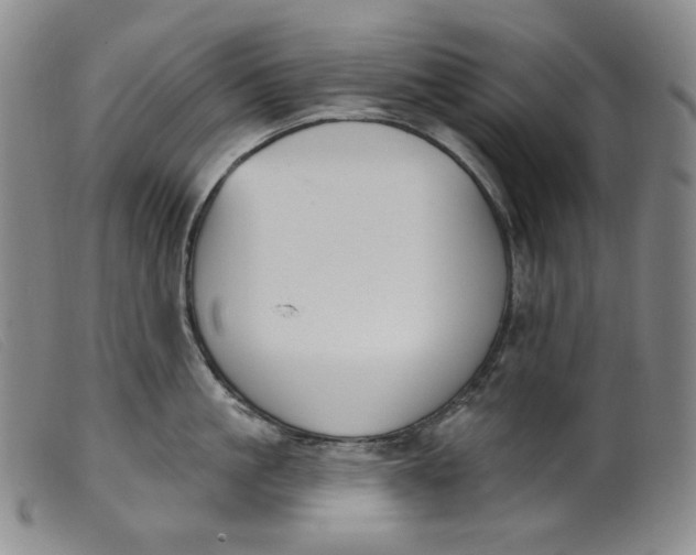 X0000099440861200805231716