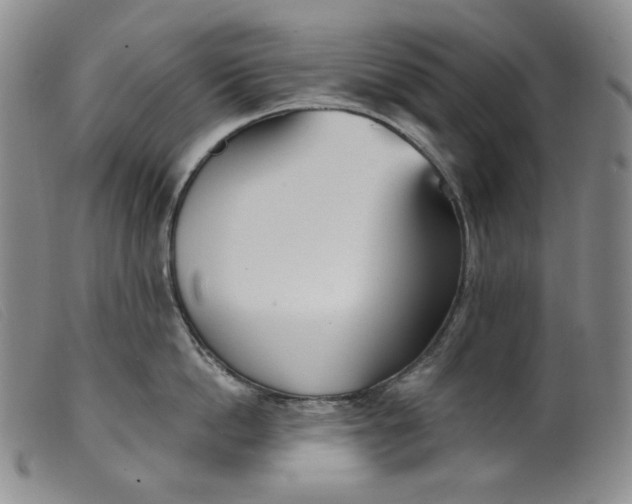 X0000099440862200805231716