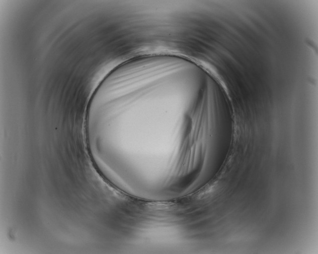 X0000099440863200805231716