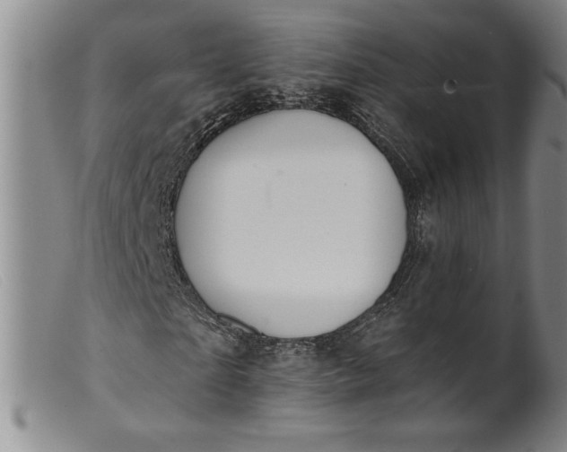 X0000099440865200805231715