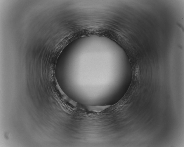 X0000099440868200805231715