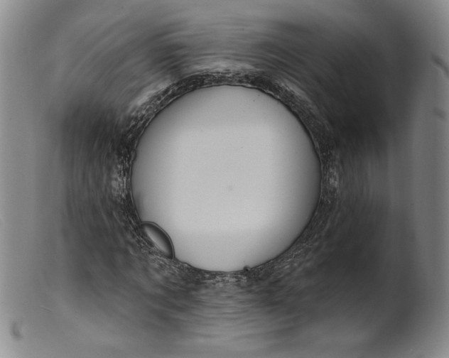 X0000099440869200805231715