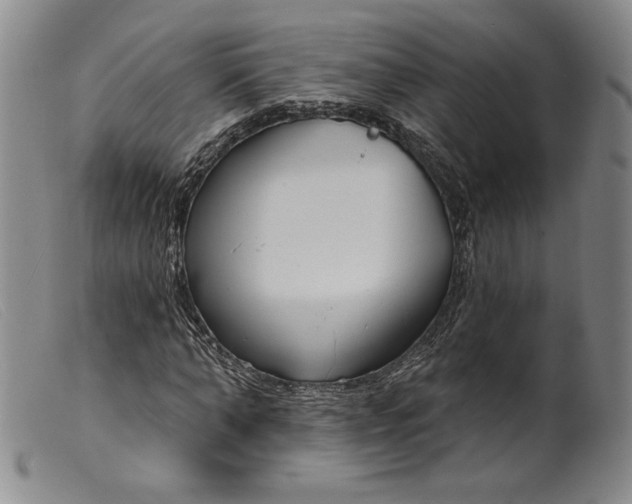 X0000099440870200805231715