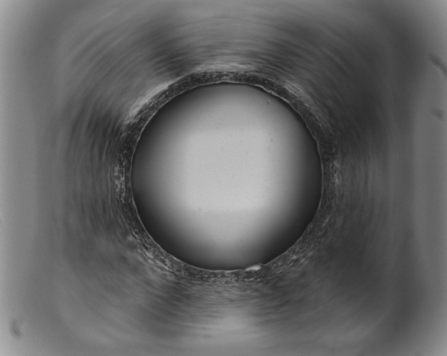X0000099440872200805231715