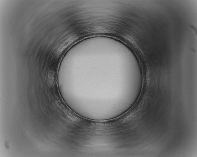 X0000099440873200805231715