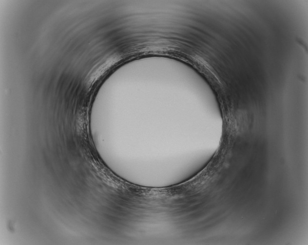X0000099440874200805231715