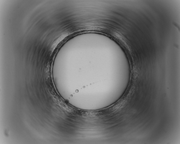 X0000099440875200805231715