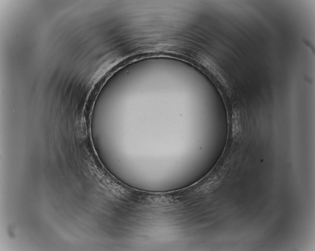X0000099440876200805231715