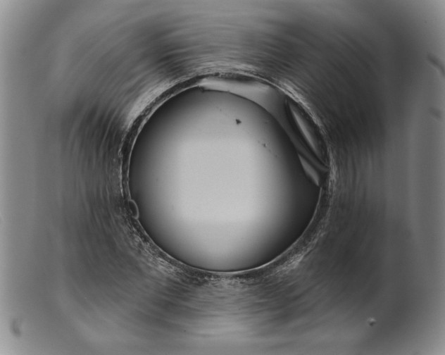 X0000099440877200805231715