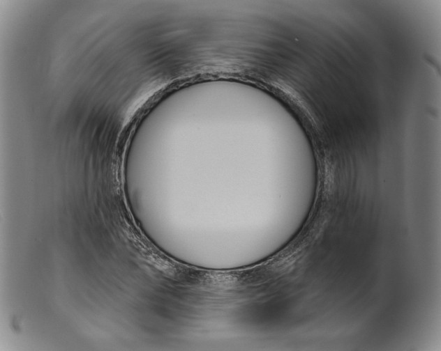 X0000099440878200805231715