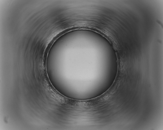 X0000099440880200805231715
