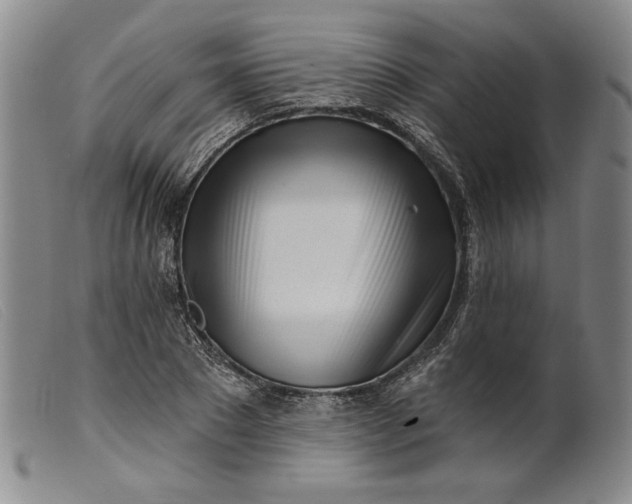 X0000099440881200805231715