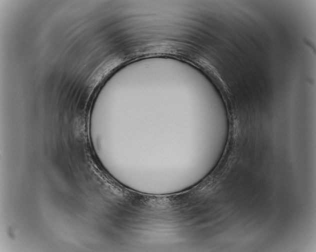 X0000099440882200805231715