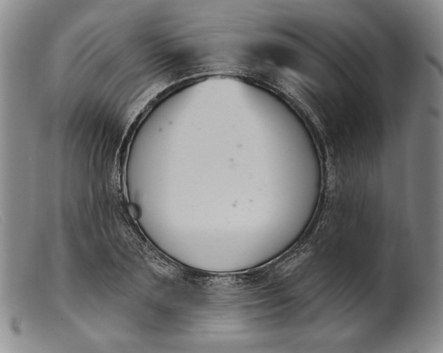 X0000099440883200805231715