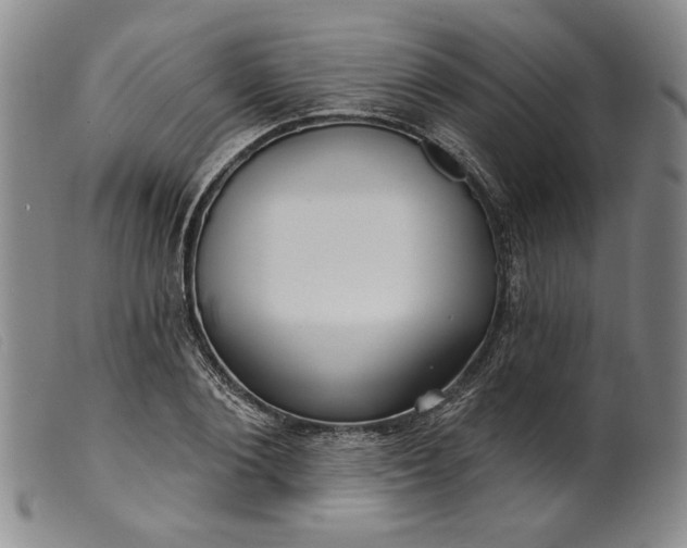 X0000099440884200805231715