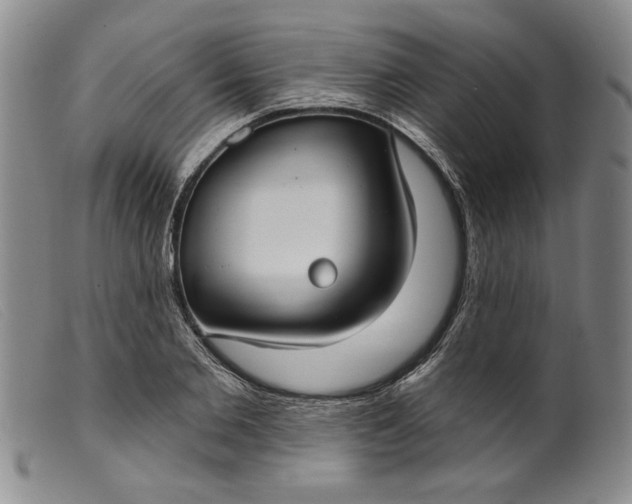 X0000099440885200805231715