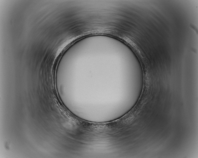 X0000099440886200805231715