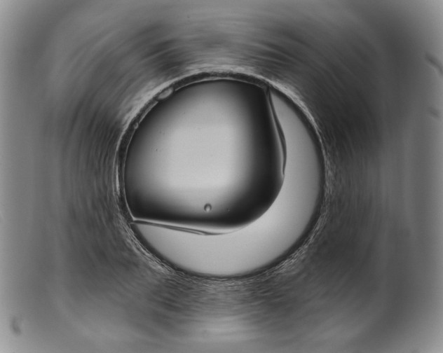 X0000099440887200805231715
